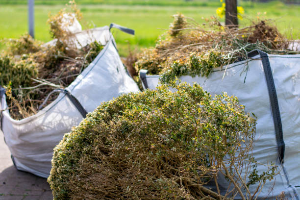 Best Attic Cleanout Services  in Hialeah, FL